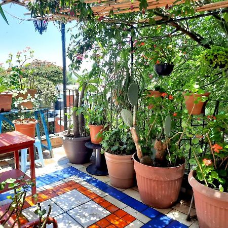 La Terraza Del Pochote Oaxaca Экстерьер фото