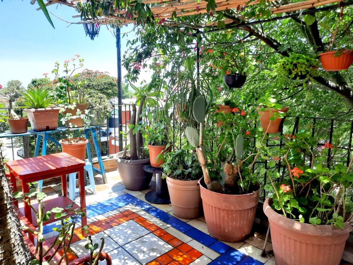La Terraza Del Pochote Oaxaca Экстерьер фото